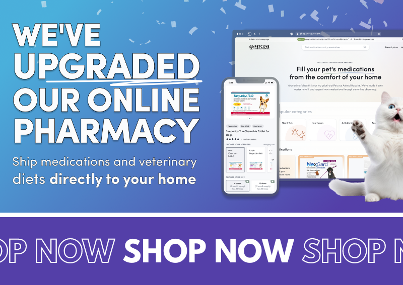 Carousel Slide 2: Levittown online veterinary pharmacy